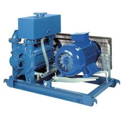 Водокольцевой вакуумный насос Robuschi LRVS60