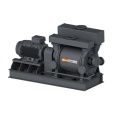 Водокольцевой вакуумный насос Busch Dolphin LG 0890 A