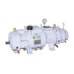 Вакуумный насос Dongbang DBPW 800