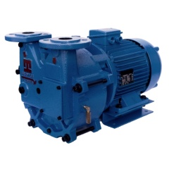 Вакуумный насос Pompetravaini TRMB 40-110