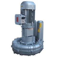 Воздуходувка FPZ K09-MS-GVR-22.00 Flex-coupling Vertical IE2
