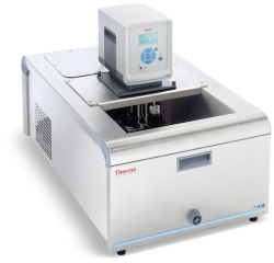 Термостат жидкостный Thermo Scientific SC100-A10B