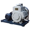 Вакуумный насос EVP 2X-70A